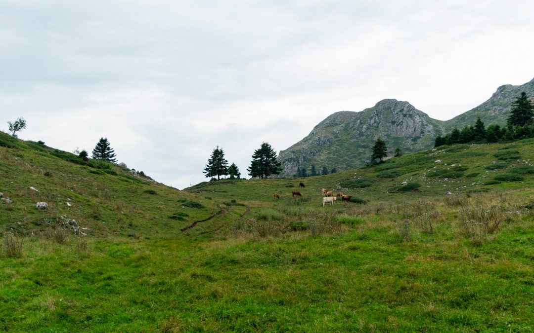 Salida del grupo de montaña