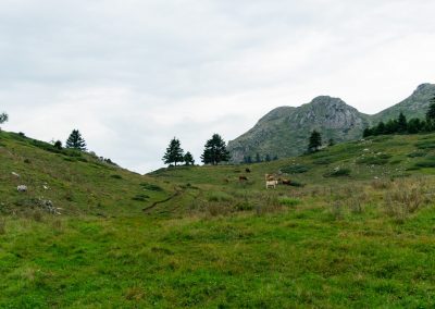 Salida del grupo de montaña