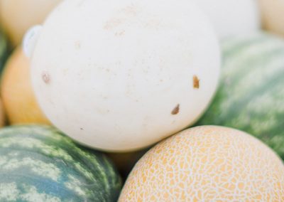 Nuevas oportunidades orto frutículas en CYL