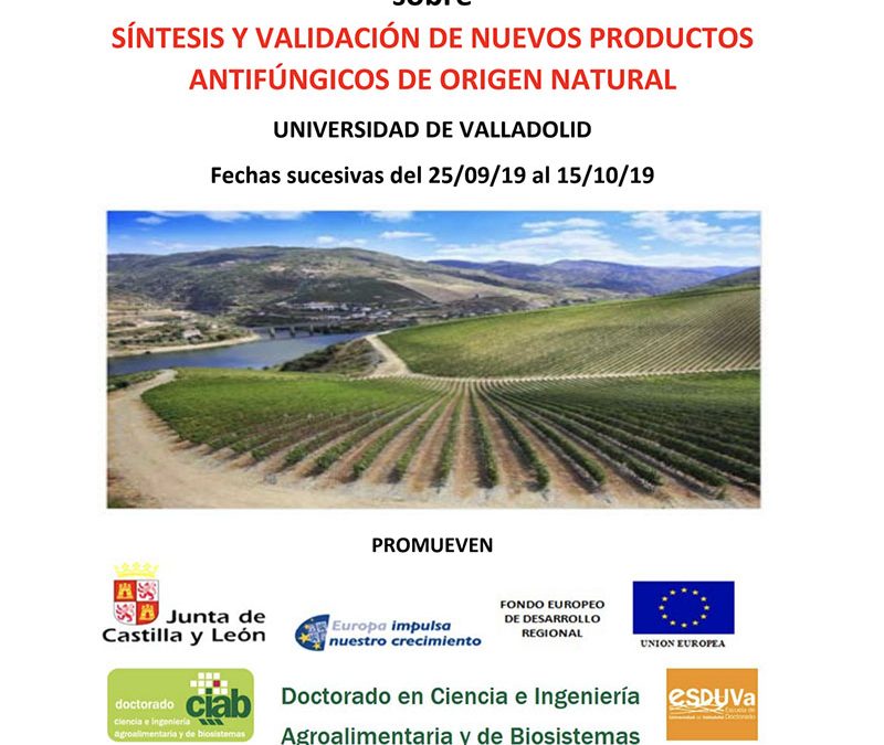 I Jornadas Internacionales Científicas y Formativas Doctorales