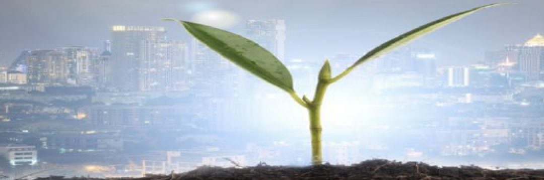 Jornada sobre agricultura urbana y espacios degradados
