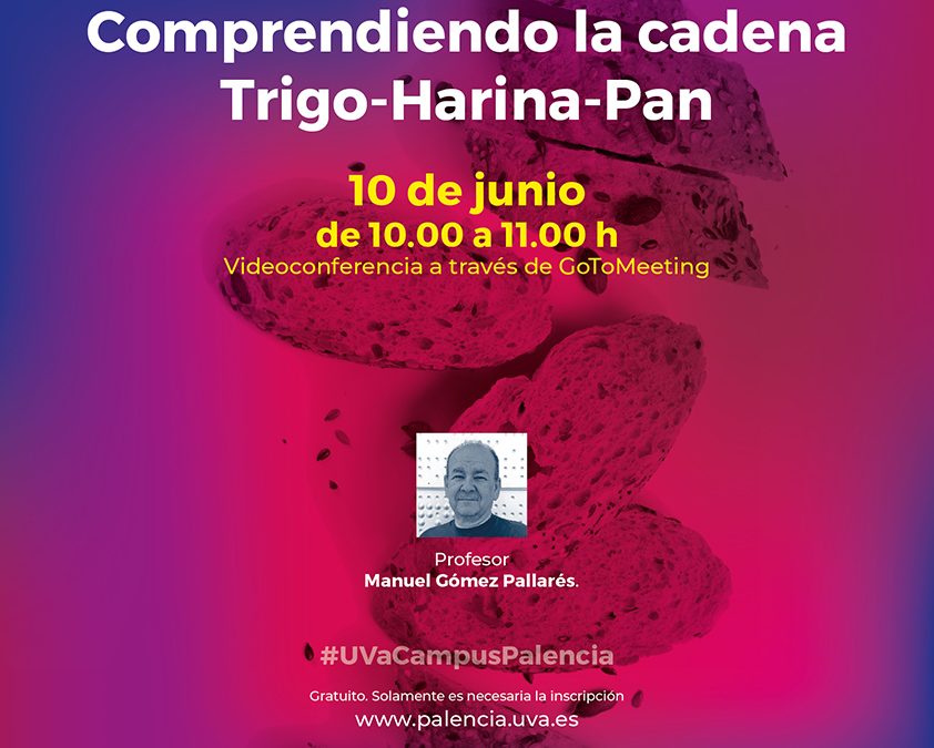 Webinar nacional: Comprendiendo la cadena Trigo-Harina-Pan