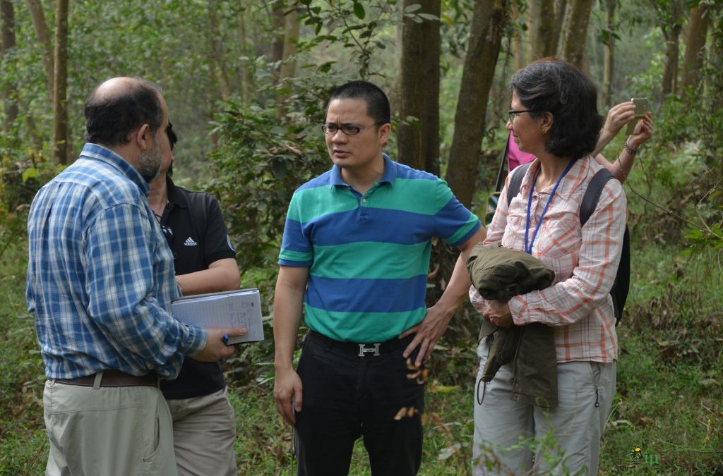 El Campus de la UVa en Palencia promueve la bioeconomía forestal en el sudeste asiático