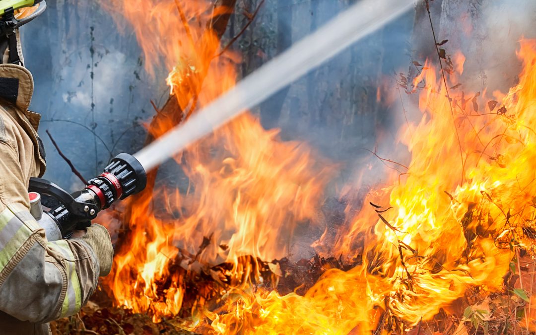 Seminario ‘Planificación territorial: el gran reto ante grandes incendios forestales’