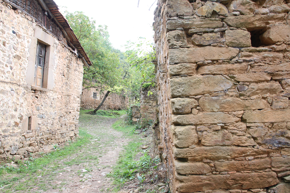 Seminario ‘Despoblamiento rural y ciudades intermedias’
