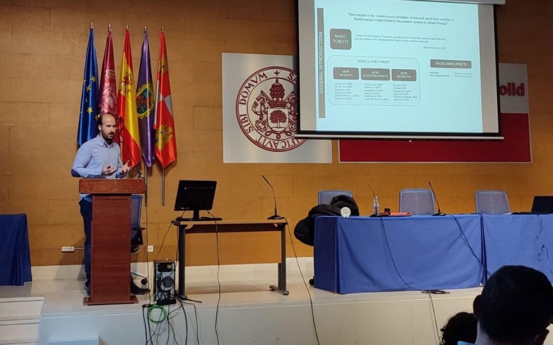 Los bosques mixtos podrían ser más resilientes y productivos frente al cambio climático según la tesis doctoral presentada por un doctorando de la UVa