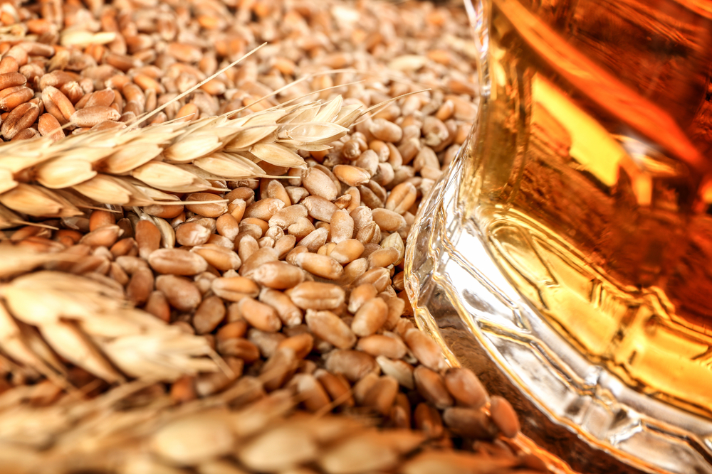 Investigadores de la UVa definen las características técnicas de las cervecerías artesanales