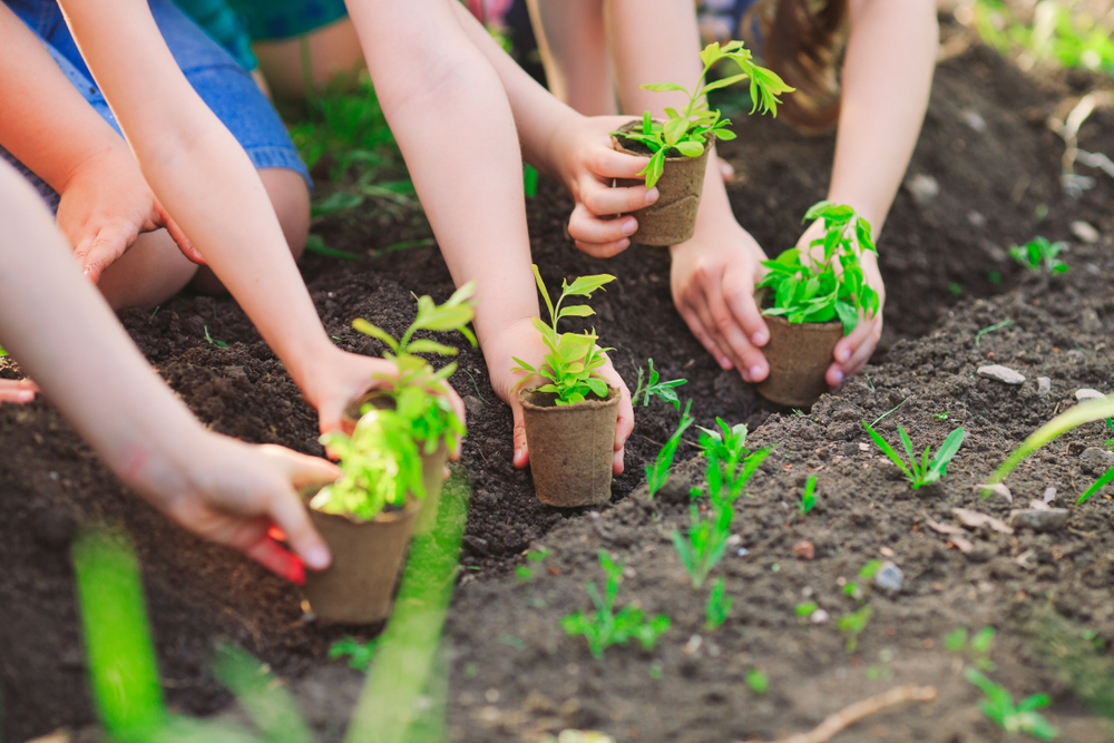 EcoInnova. Innovación docente para soñar con un mundo más sostenible