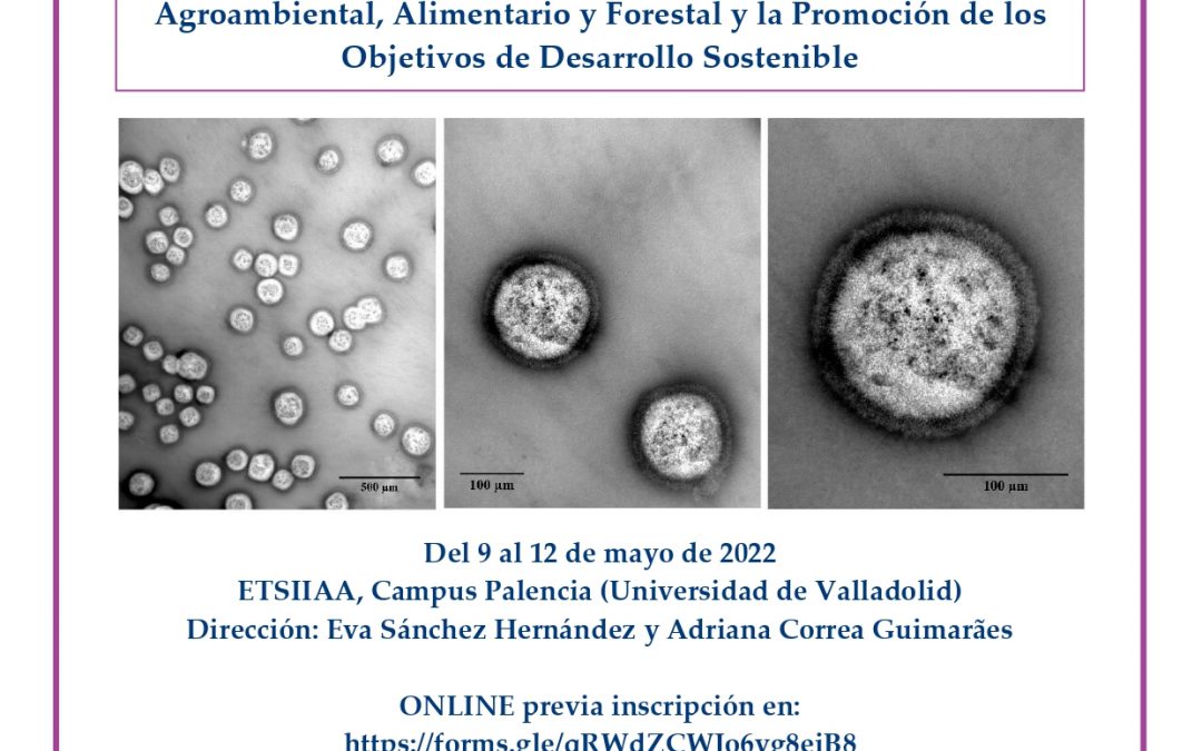 Investigadores europeos exponen los avances en la aplicación de las nanotecnologías en el desarrollo agroambiental, alimentario y forestal
