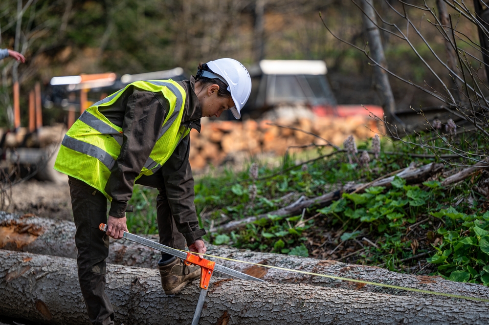 Las mujeres se hacen más visibles en el sector forestal a través de un taller en la ETSIIAA