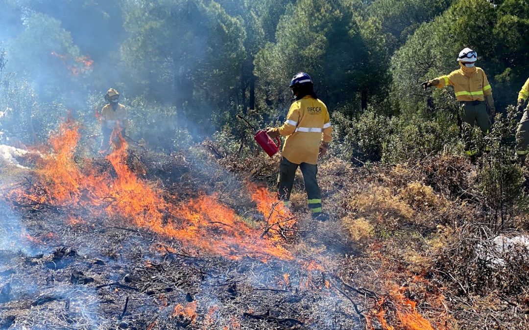 Trágicas consecuencias ecológicas y micológicas del incendio forestal en la Sierra de la Culebra (Zamora) junio de 2022