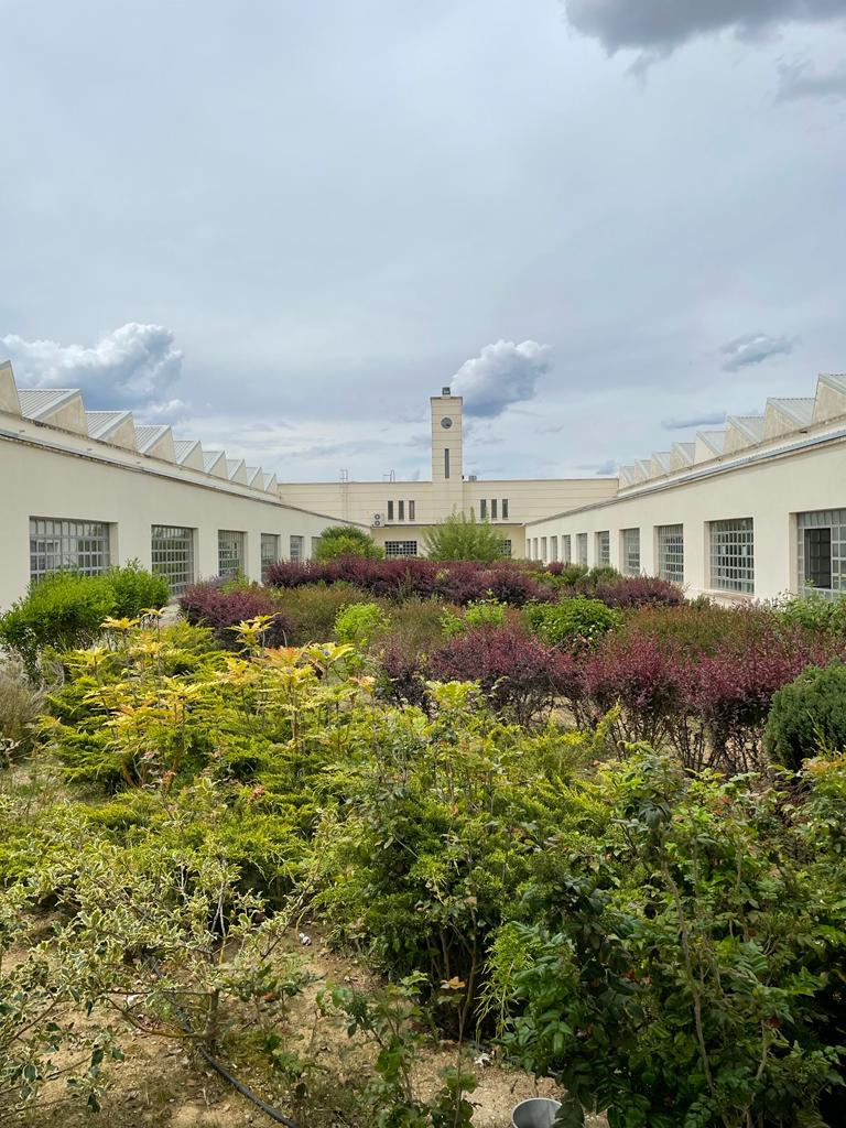Campus La Yutera Palencia Universidad De Valladolid