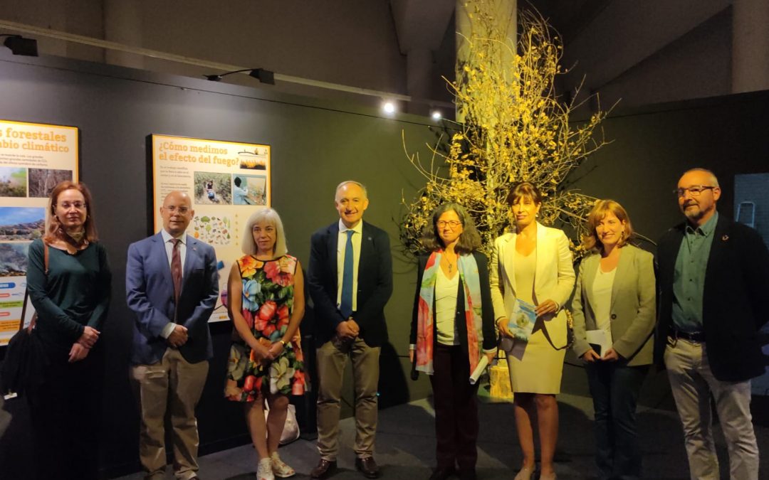 El Museo de la Ciencia inaugura la exposición coordinada por la Universidad de Valladolid ‘Bosques y cambio climático: un futuro abierto’