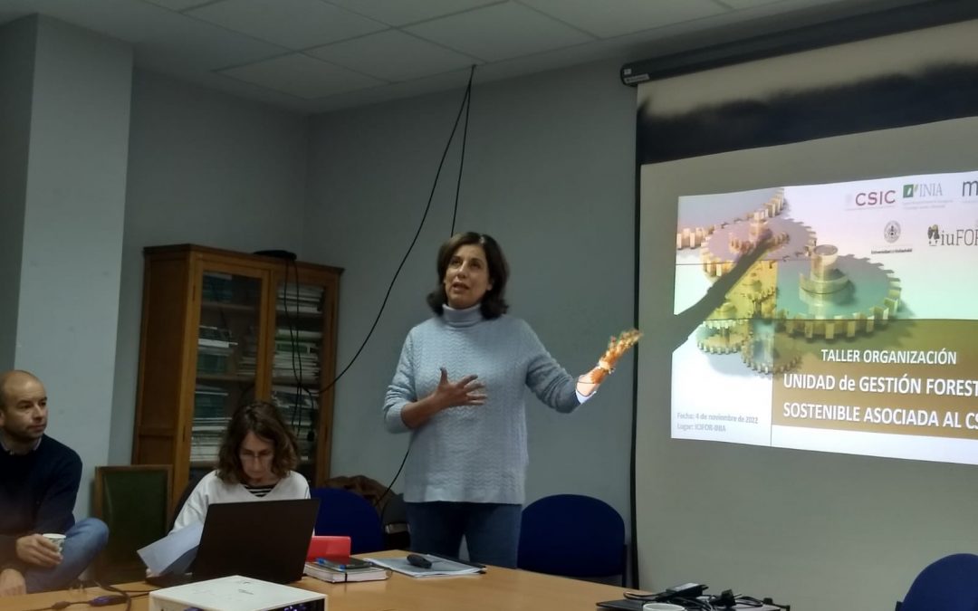 Puesta en marcha de la Unidad Asociada de I+D+i al CSIC ‘Gestión Forestal Sostenible’ de la Universidad de Valladolid
