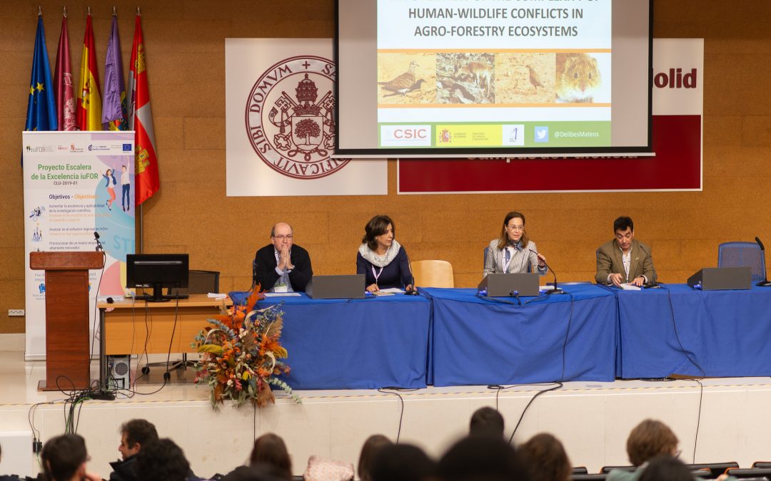 XVII Jornadas de Jóvenes Investigadores Forestales