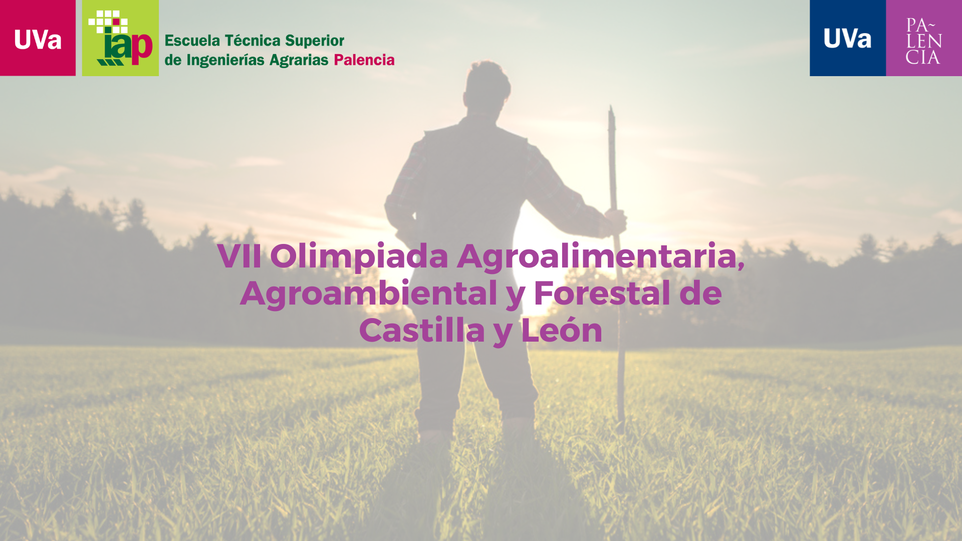 WEB_Olimpiada_Campus Palencia