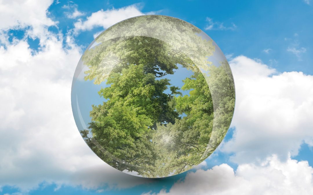 La exposición ‘Los bosques ante el cambio climático. Un futuro abierto’ llega al Campus de Palencia