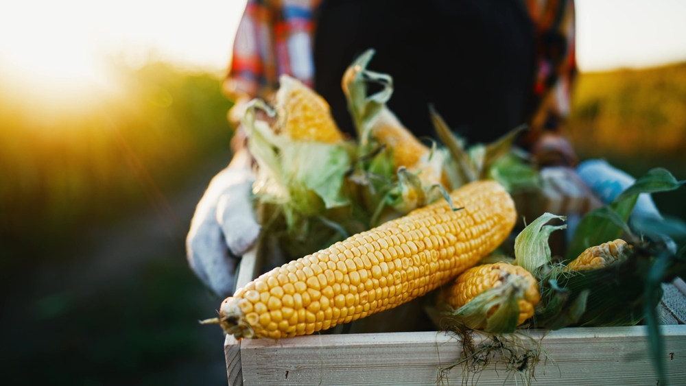 Jornada sobre sostenibilidad en la industria agroalimentaria