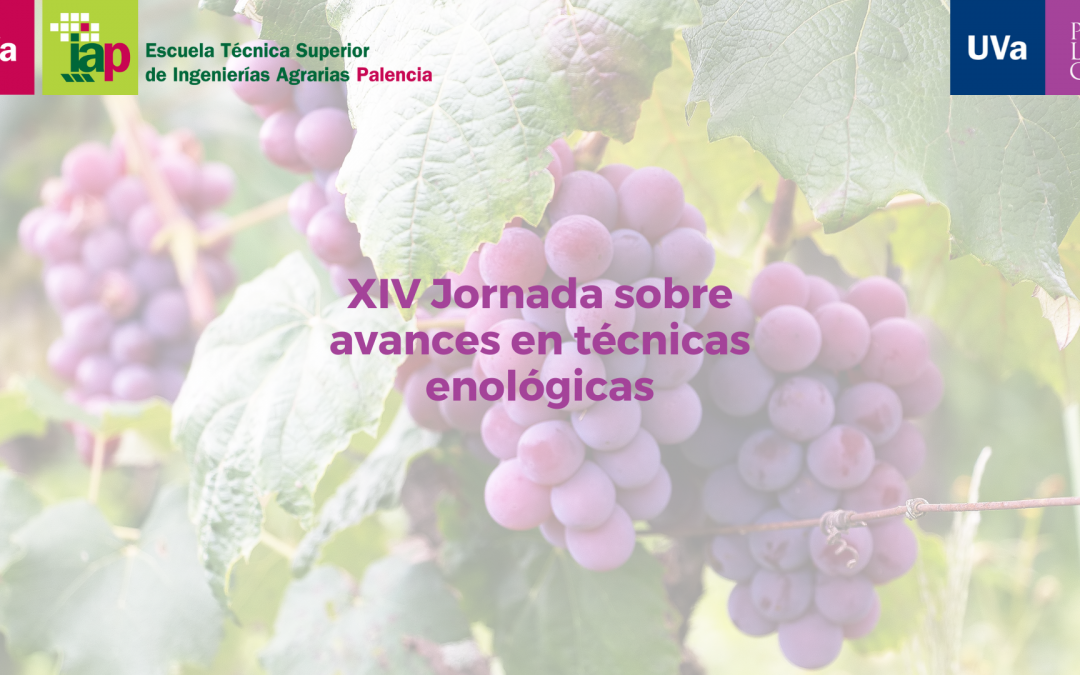 El Campus de Palencia acoge la XIV Jornada sobre avances en técnicas enológicas