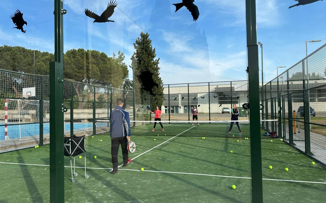 Cursos de pádel en la escuela de Carlos Pozo