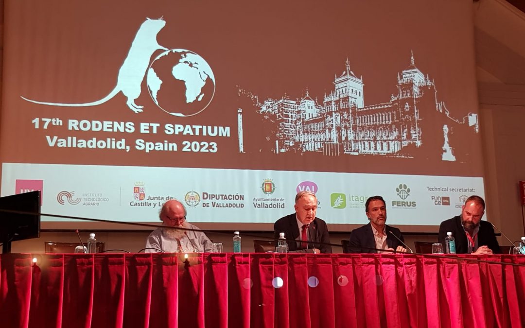 XVII Conferencia internacional ‘Rodens et Spatium’