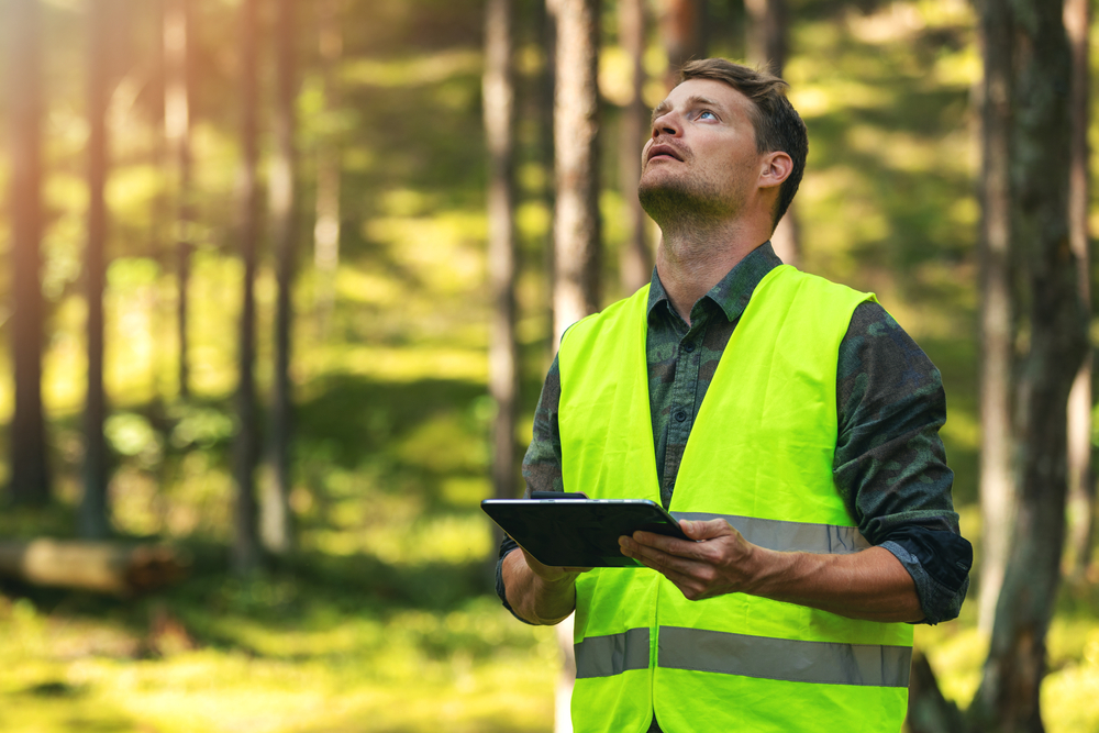El iuFOR lidera la investigación y la formación en gestión forestal sostenible, desde el Campus de Palencia, gracias al impulso de la inteligencia artificial (IA)