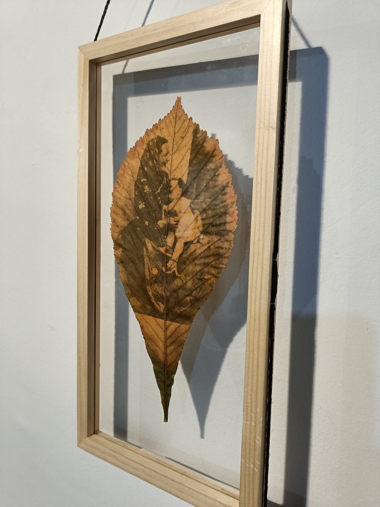Creatividad para la noticia de la exposición Paisaje de la memoria.