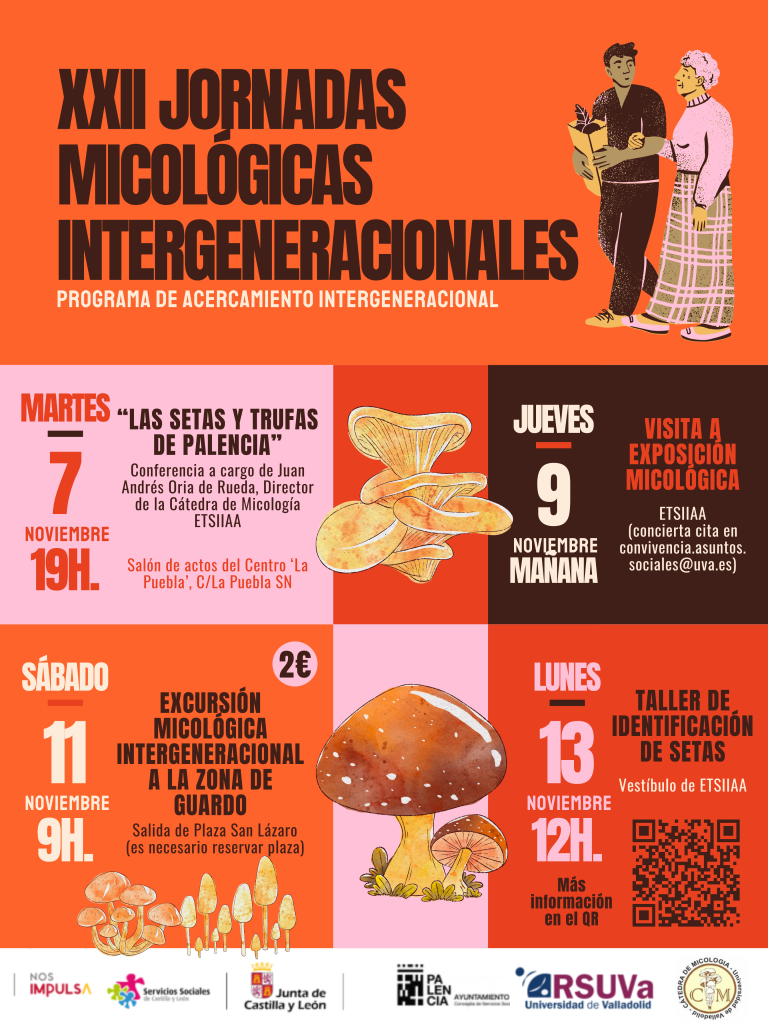 Cartel de las Jornadas Intergeneracionales de Micología del Campus de Palencia.