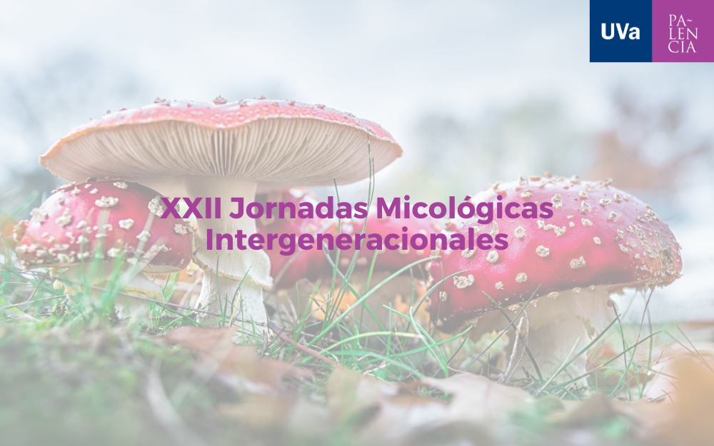 XXII Jornadas Micológicas Intergeneracionales del Campus de Palencia