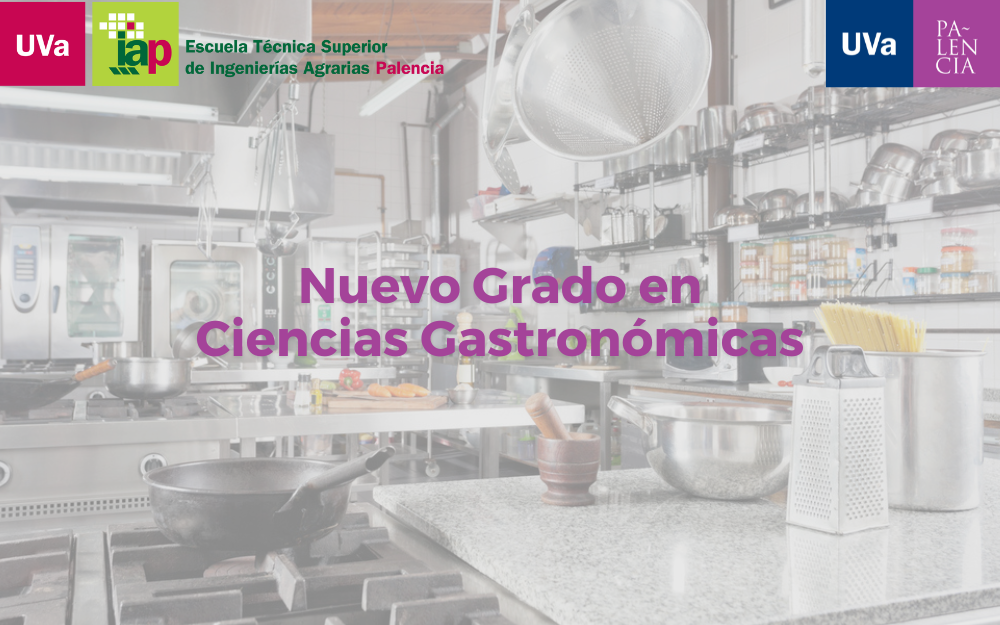La Universidad de Valladolid incorpora el Grado en Ciencias Gastronómicas a su oferta académica en el Campus de Palencia