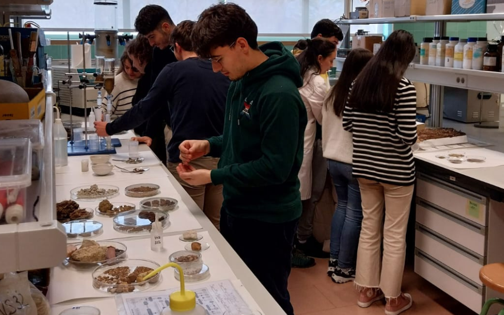 Creatividad para la noticia sobre la exposición de suelos del Campus de Palencia.