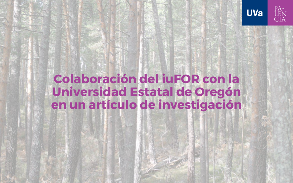 Investigadores de la UVa y el iuFOR han publicado un artículo en la revista European Journal of Forest Research en colaboración con un investigador de la Universidad Estatal de Oregón