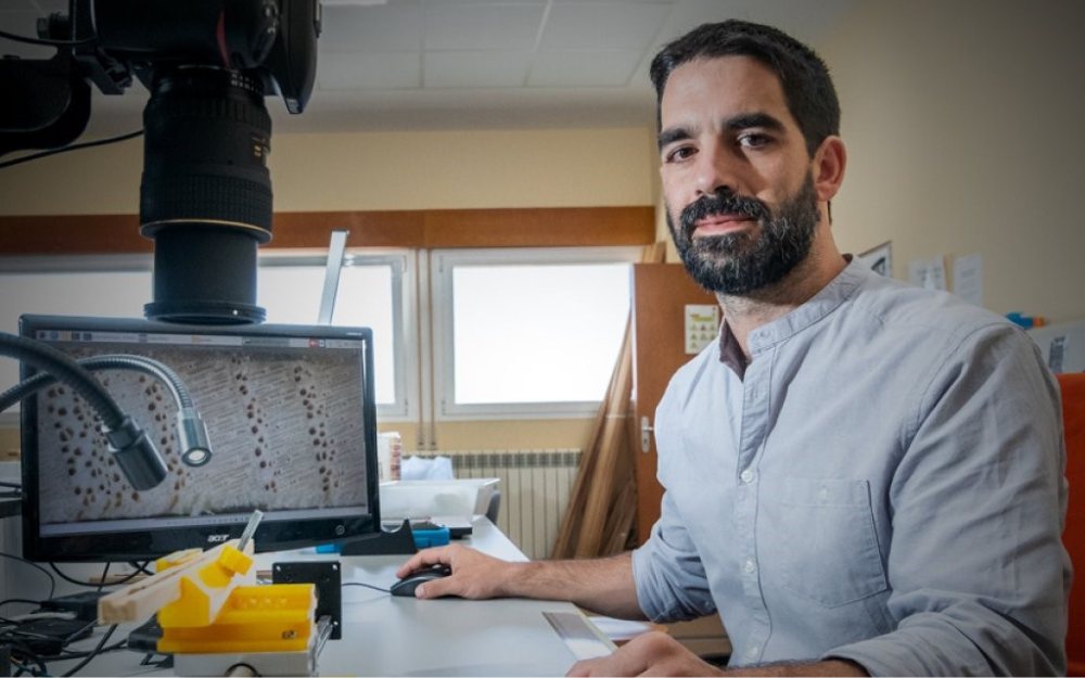 Un investigador del iuFOR recibe el premio al Mejor Proyecto de Soria en los Premios Innovadores El Mundo CyL 2024