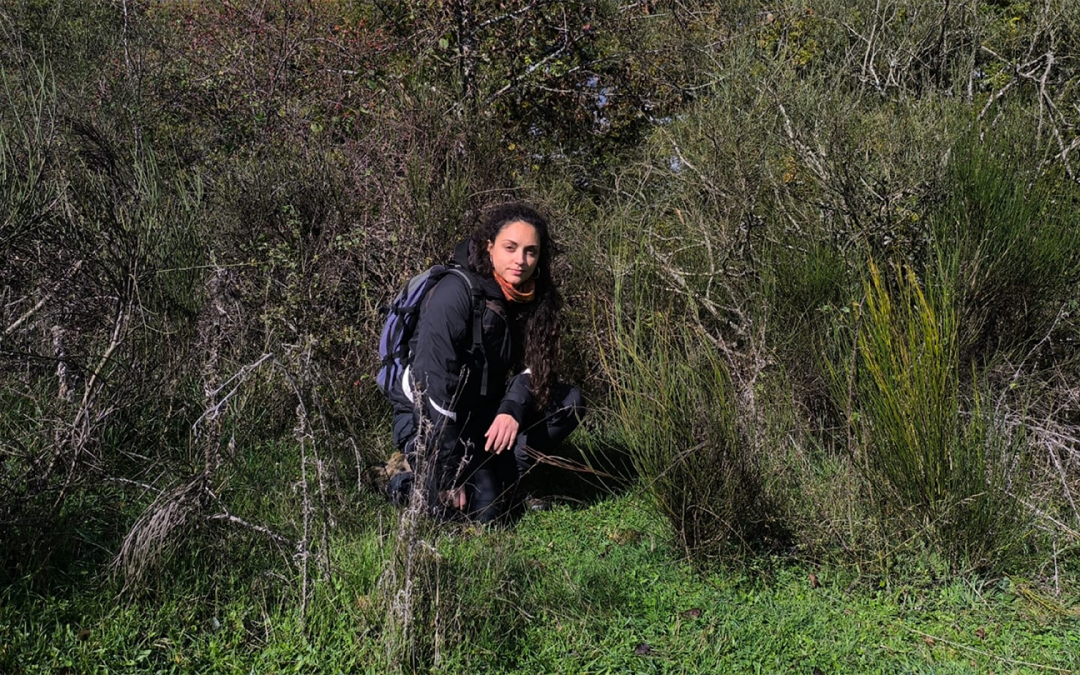 Daphne López Marcos, miembro del iuFOR, ganadora de la convocatoria combinada de proyectos de investigación para investigadores en las primeras etapas de la carrera científica en 2024 de la Sociedad Española de Ecología Terrestre (AEET)