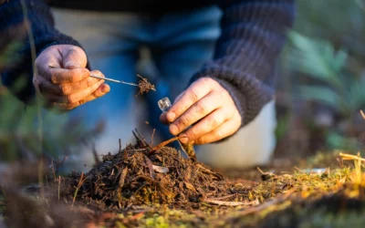 El Campus de Palencia de la UVa a la cabeza en el índice de Stanford, de los investigadores más influyentes del mundo