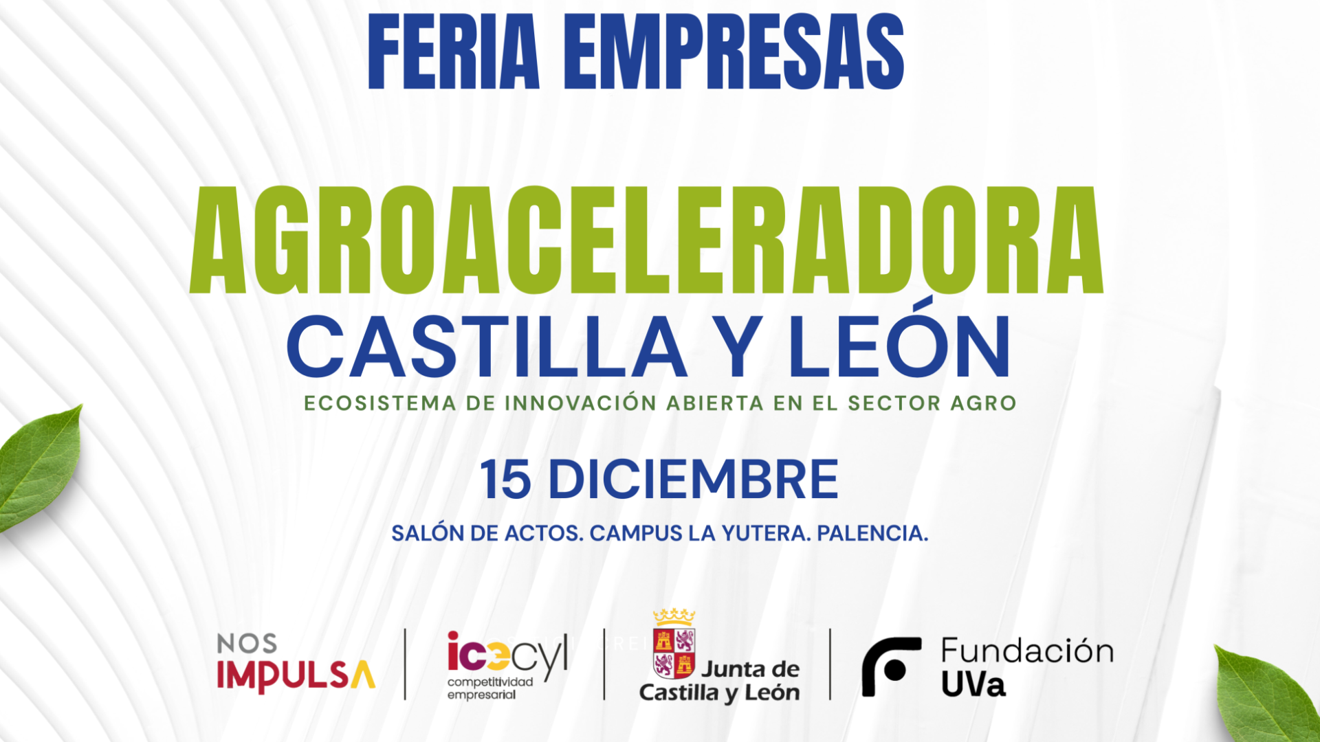 Creatividad para la noticia de la Agroaceleradora.