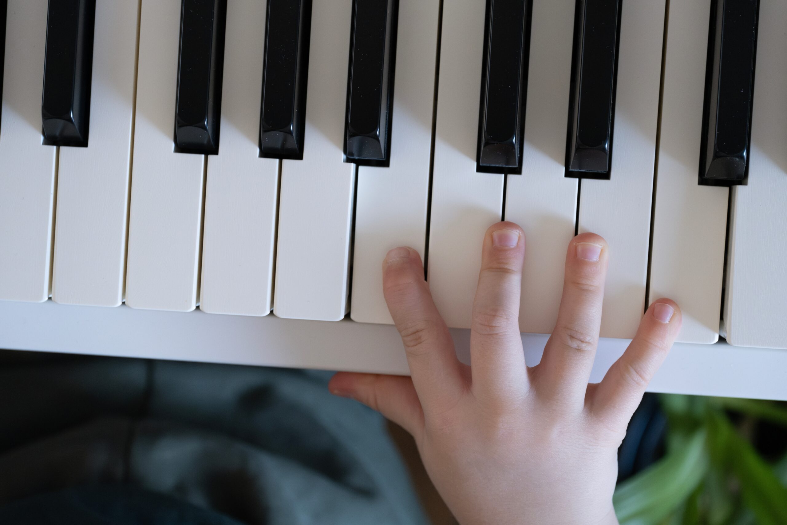 Creatividad para la noticia del proyecto TCIEM.